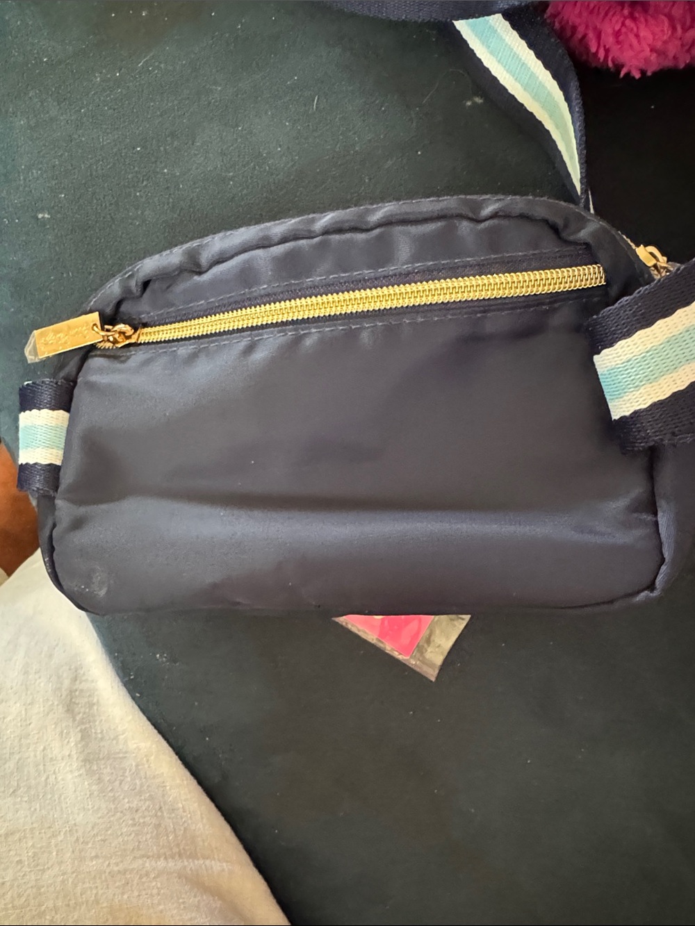 Lilly Pulitzer Navy Crossbody with Blue-White Striped Strap and Gold Medallion - Picture 3 of 7